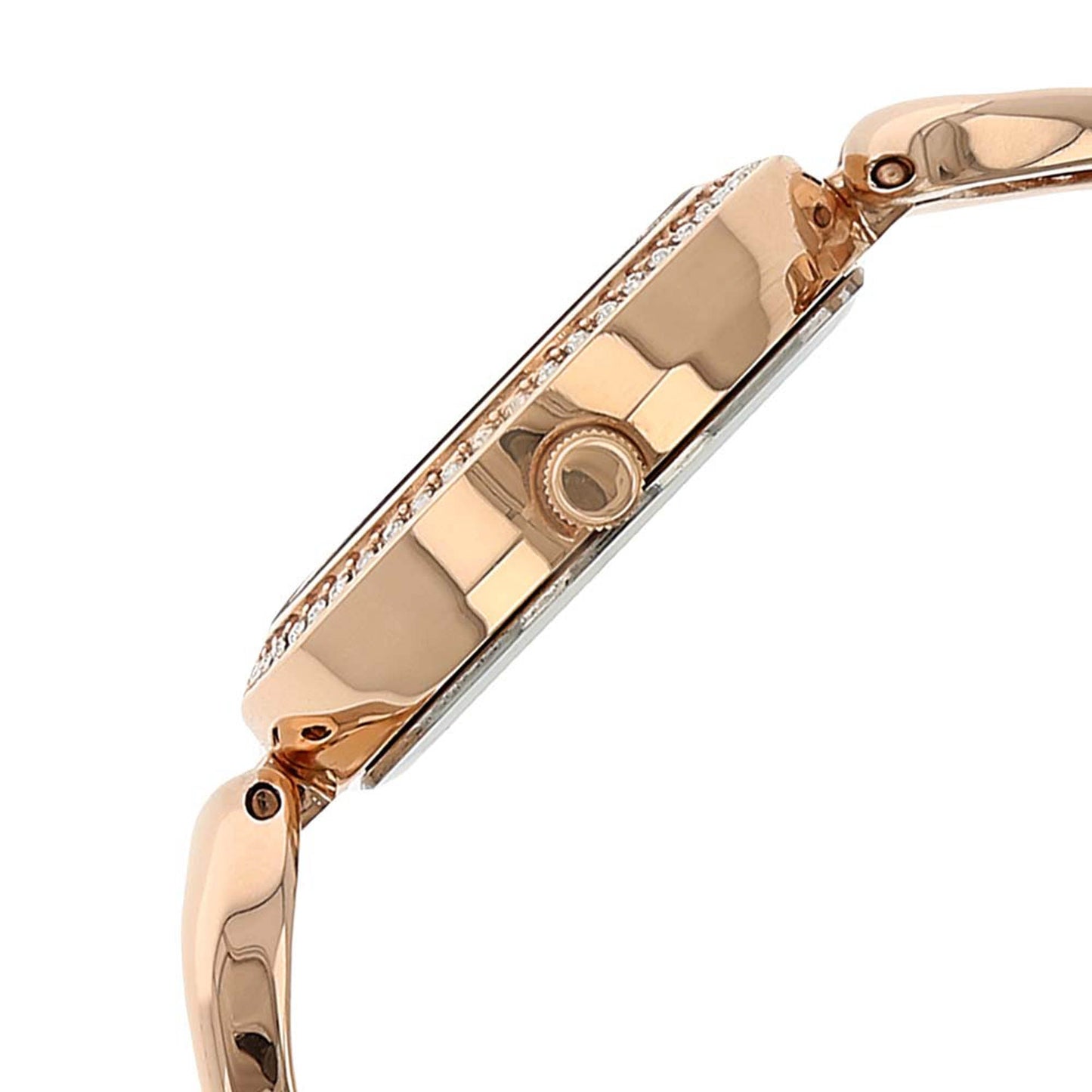 Titan Raga Garden of Eden White Dial Analog Metal Strap watch for Women
